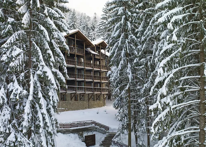 Ana Hotels Bradul Poiana Brasov
